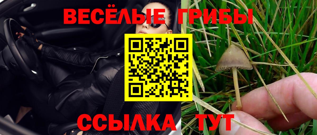 Галлюциногенные грибы мицелий  Вход с VPN  Назрань 